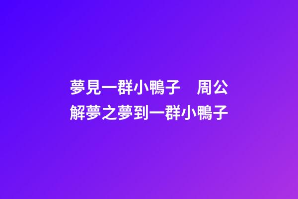 夢見一群小鴨子　周公解夢之夢到一群小鴨子
